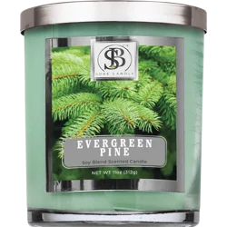 SoBe Evergreen Pine 11 oz Candle