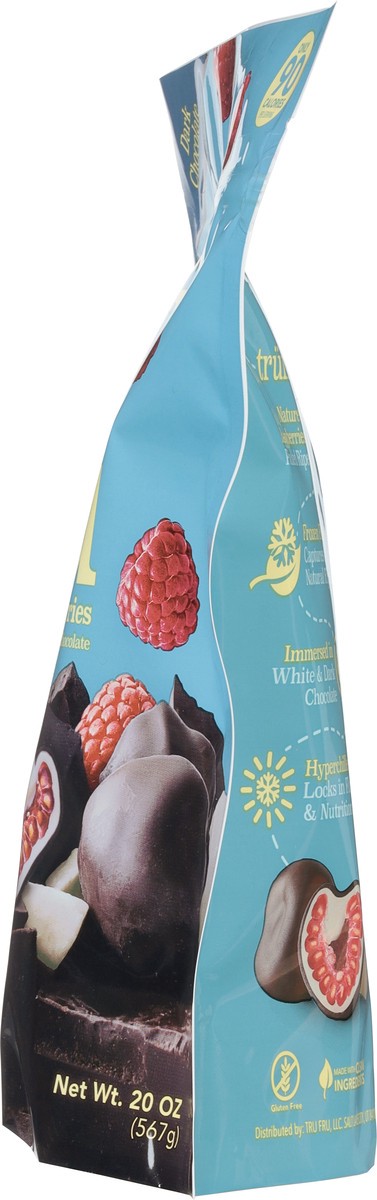 slide 6 of 9, Tru Fru Nature's Raspberries Hyper-Chilled in White & Dark Chocolate (20oz), 20 oz