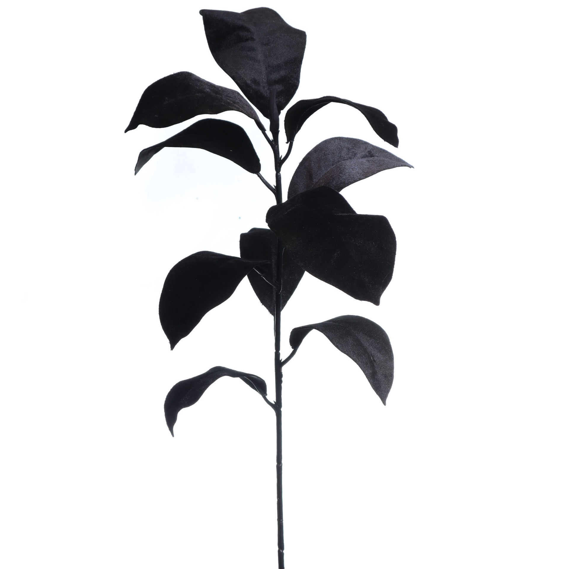 slide 2 of 3, 31.5" Black Magnolia Leaves Stem By Ashland, 6.5 in x 5 in x 31.5 in