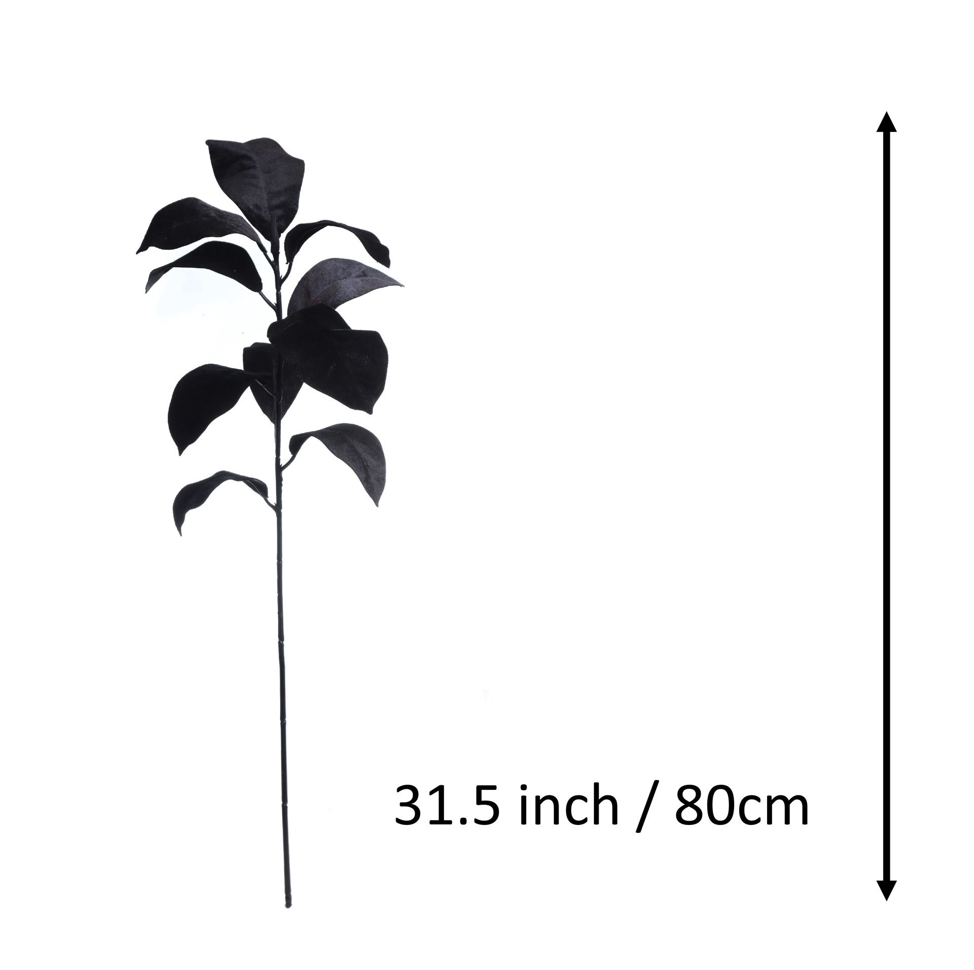 slide 3 of 3, 31.5" Black Magnolia Leaves Stem By Ashland, 6.5 in x 5 in x 31.5 in