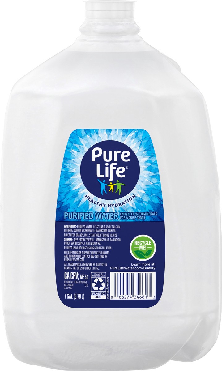 slide 2 of 10, Pure Life Purified Water, 1-Gallon, Plastic Bottled Water (Single), 1 g