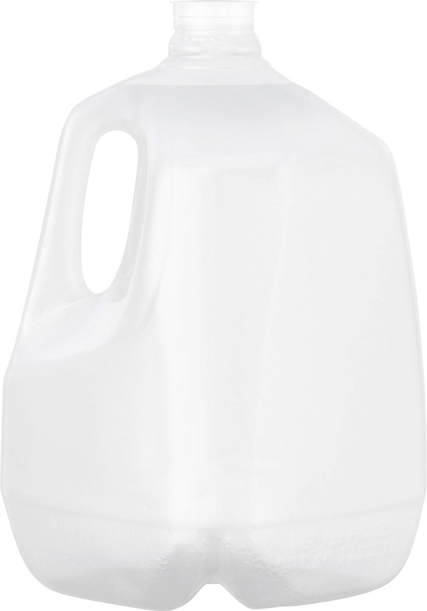 slide 7 of 10, Pure Life Purified Water, 1-Gallon, Plastic Bottled Water (Single), 1 g