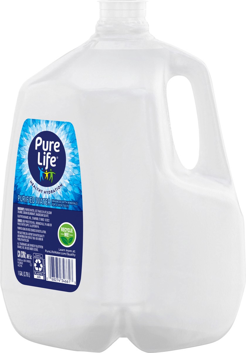 slide 3 of 10, Pure Life Purified Water, 1-Gallon, Plastic Bottled Water (Single), 1 g