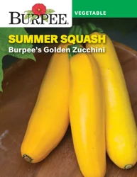 Burpee Golden Zucchini Summer Squash