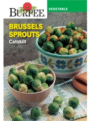 Burpee Heir Brussels Sprouts Catskill