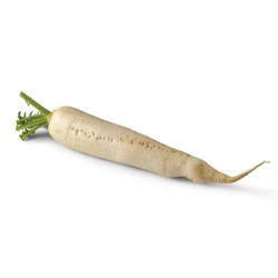 Daikon Radish