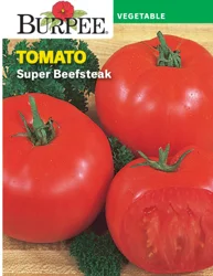 Burpee Tomato Super Beefsteak