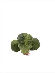 Sprouts Brussel Sprouts