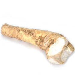 Horseradish Root