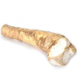 Horseradish Root