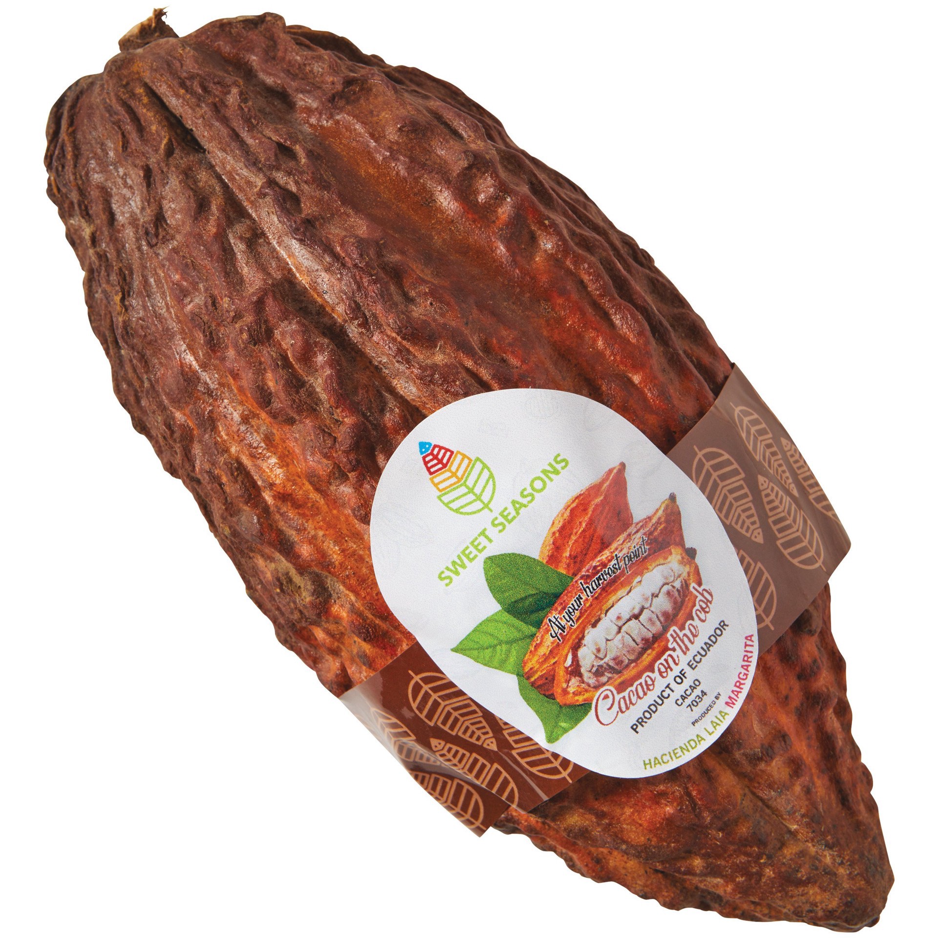 slide 1 of 1, Fresh Cacao Bean, per lb