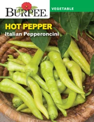 Burpee Hot Italian Pepperoncini Pepper