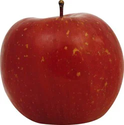 Produce Apple 1 ea