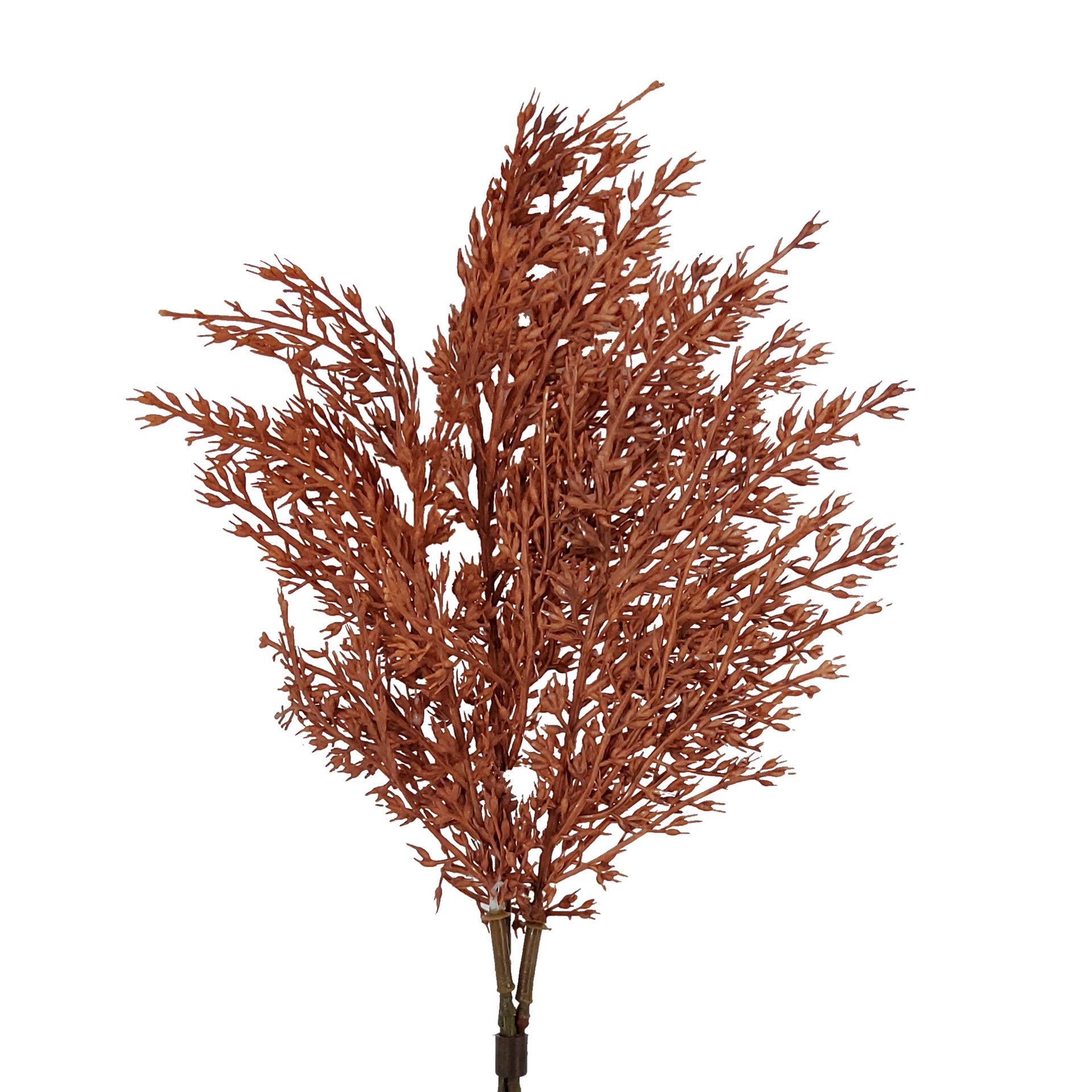 slide 2 of 3, Mini Burgundy Wheat Bundle By Ashland, 5 in x 5 in x 2 in