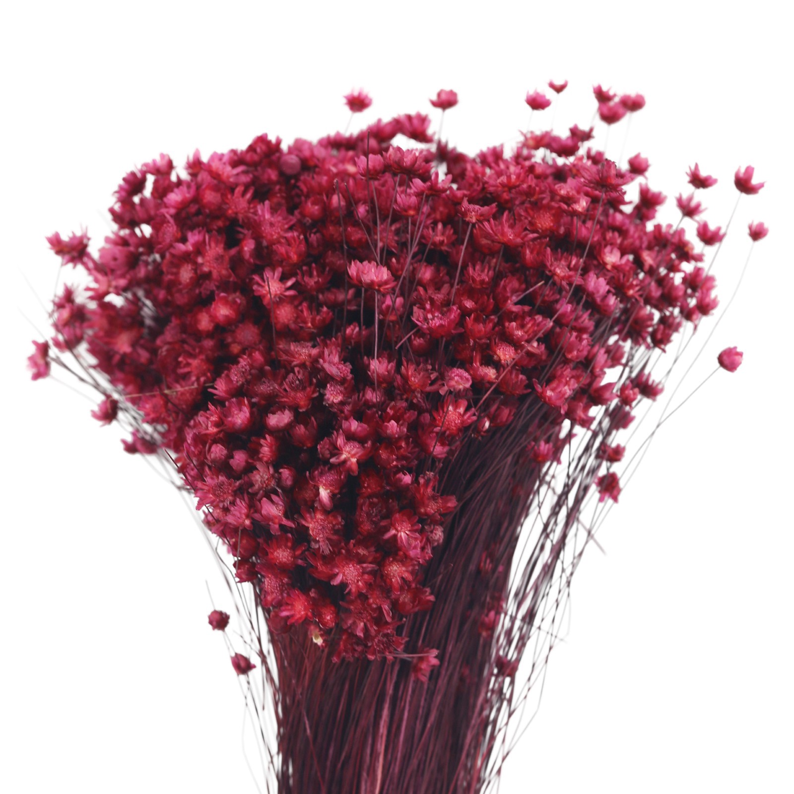 slide 2 of 2, 12" Red Camdpo Flower Bunch By Ashland, 12 in