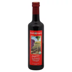 Brad's Brads Organic Brad Org Red Wine Vinegar - 16.9 fl oz