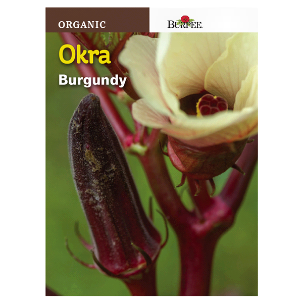 slide 1 of 1, Burpee Organic Okra Burgundy Seeds, 1 ct