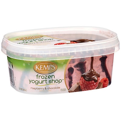 slide 1 of 1, Kemps Frozen Yogurt Shop Raspberry & Chocolate Frozen Yogurt, 1.87 pt