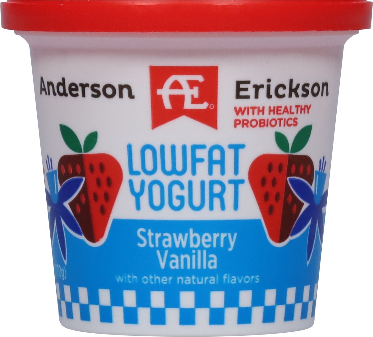 slide 8 of 9, Anderson Erickson Dairy Lowfat Strawberry Vanilla Yogurt 6 oz, 6 oz