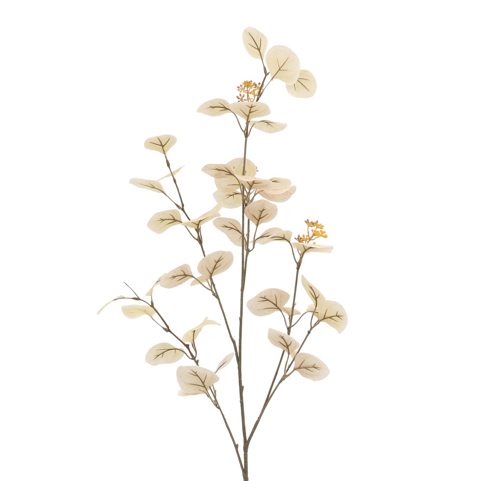 slide 2 of 2, Cream Seed Eucalyptus Stem By Ashland, 14 in x 12 in x 41 in