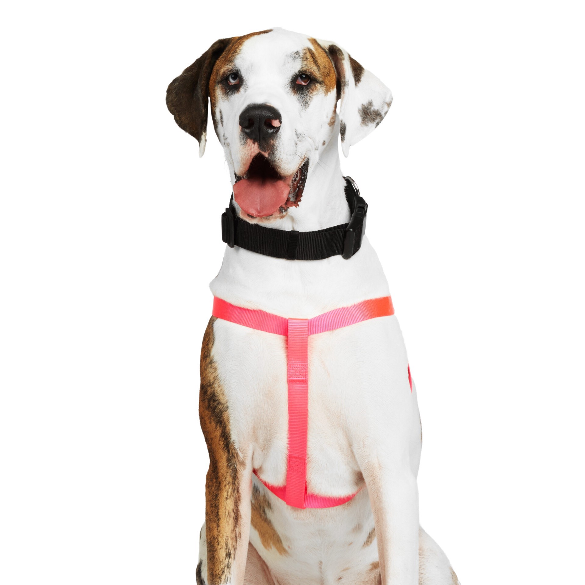 slide 6 of 6, YOULY WEBB Pink Dog Harness, Large, LG