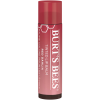 slide 21 of 25, Burt's Bees Tinted Hibiscus Lip Balm 0.15 oz, 0.15 oz