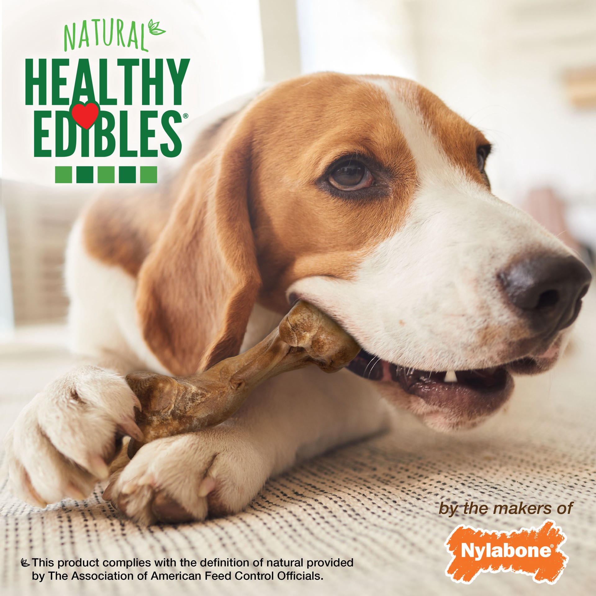 slide 5 of 10, Nylabone Healthy Edibles WILD Natural Long Lasting Bison Dog Chew Treats Medium/Wolf - Up to 35 lbs.(2 Count), medium; 3.3 oz