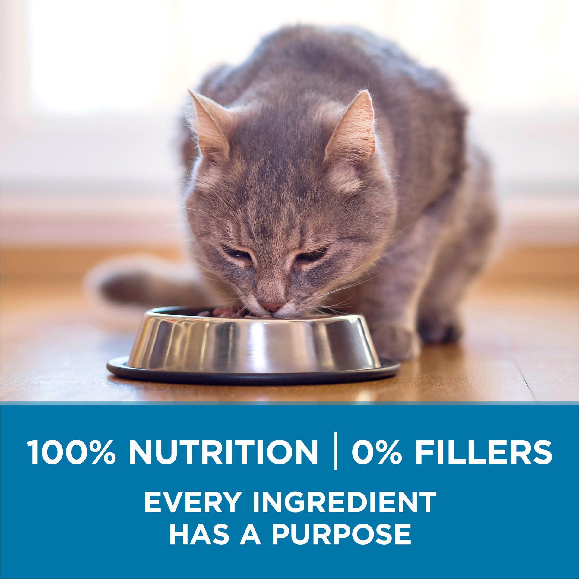 slide 4 of 9, ONE Purina ONE High Protein, Natural Senior Dry Cat Food, Indoor Advantage Senior+, 7 lb