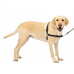 PetSafe Easy Walk Black Dog Harness