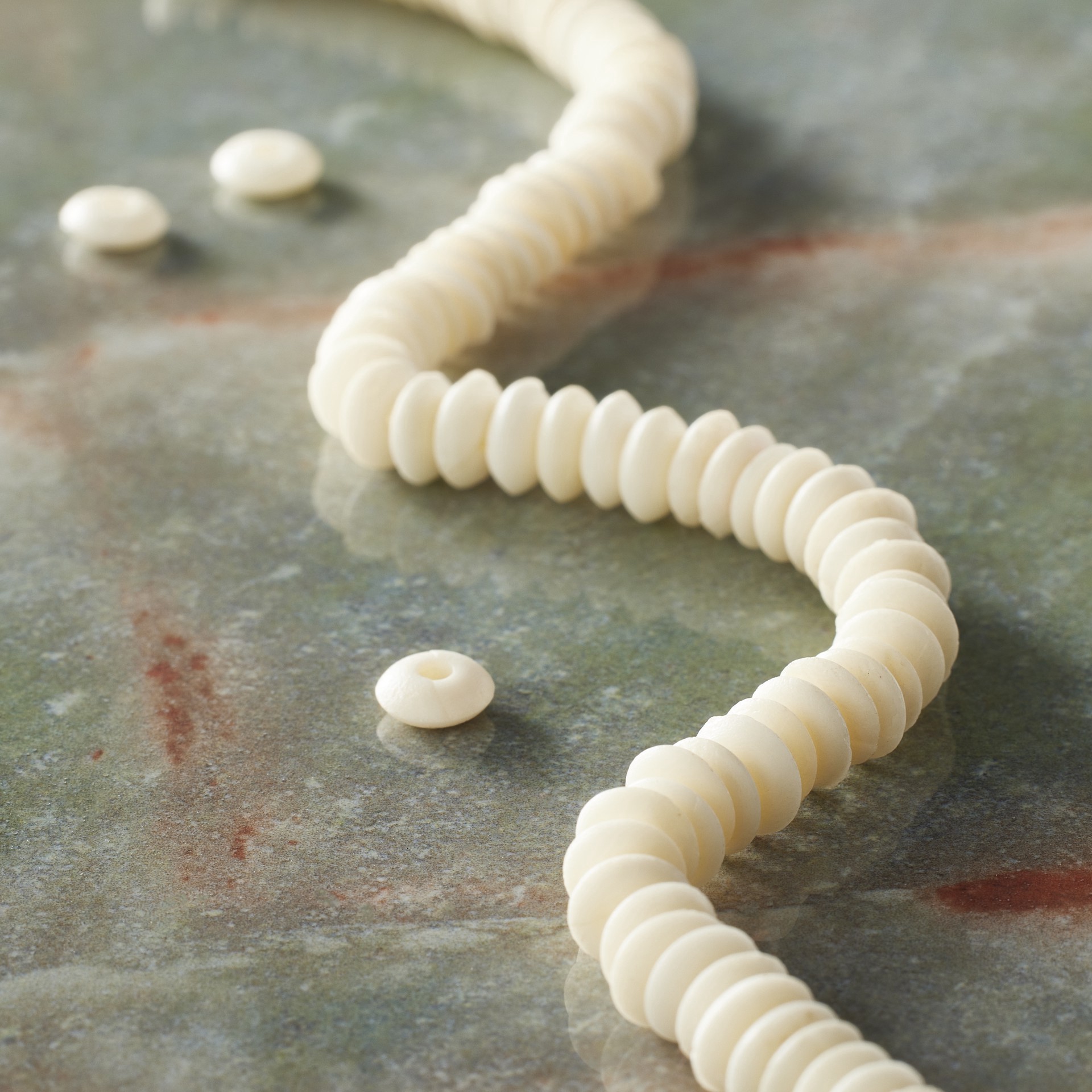 slide 3 of 3, Natural White Bone Rondelle Beads By Bead Landing, 2mm-7mm