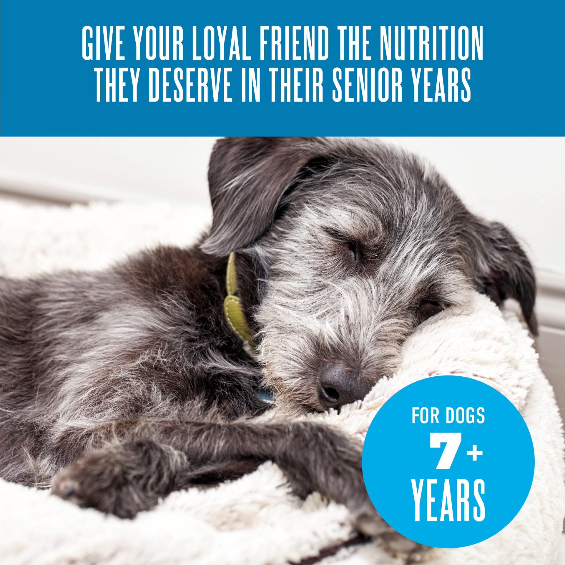 slide 2 of 6, Tiki Dog Senior Mousse Wet Dog Food, Chicken, Beef & Pumpkin, 3.5 oz. Pouch (12 Count), 3.5 oz