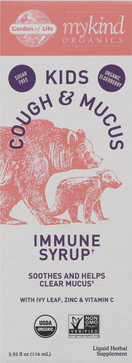 slide 3 of 9, Garden of Life MyKind Organics Kids Cough & Syrup Immune Syrup 3.92 fl oz, 1 ct