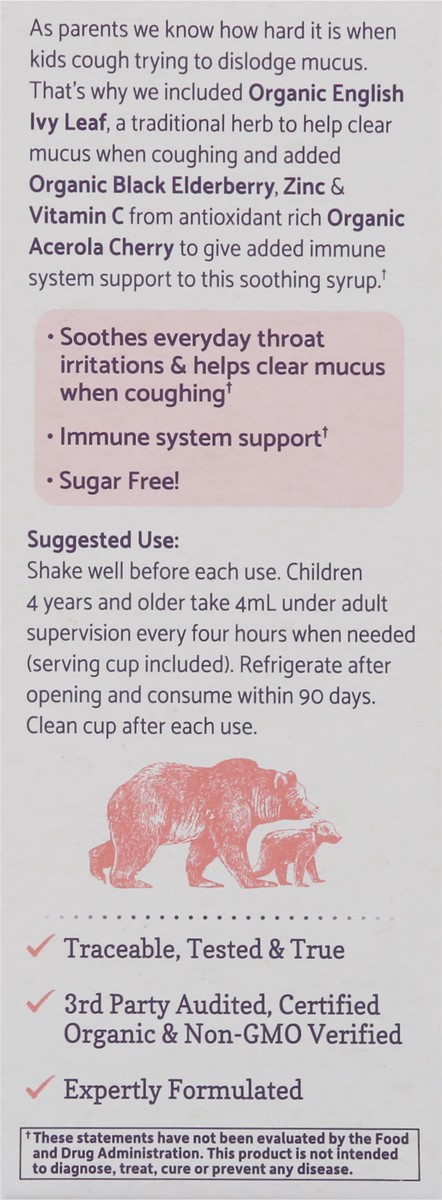 slide 5 of 9, Garden of Life MyKind Organics Kids Cough & Syrup Immune Syrup 3.92 fl oz, 1 ct