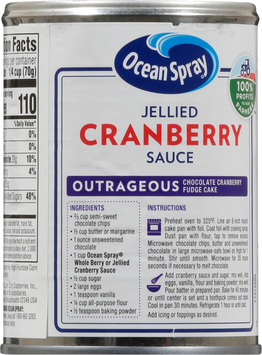 slide 5 of 9, Ocean Spray Jellied Cranberry Sauce 14 oz, 14 oz