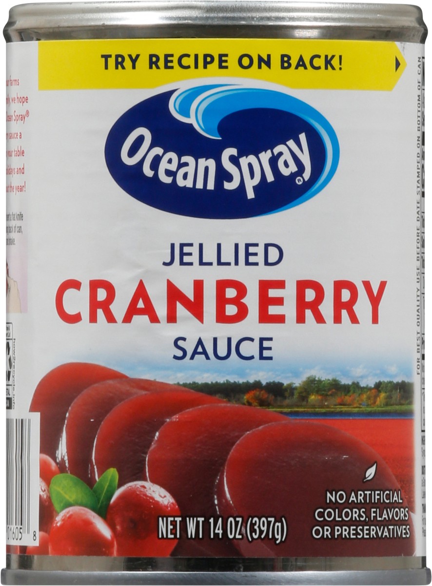 slide 1 of 9, Ocean Spray Jellied Cranberry Sauce 14 oz, 14 oz