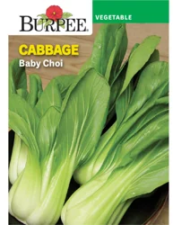 Burpee Cabbage Baby Choi