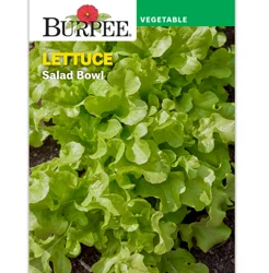 Burpee Lettuce Leaf Salad Bowl