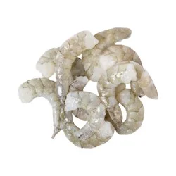 SHRIMP R-31/40 PDTL ULTRA