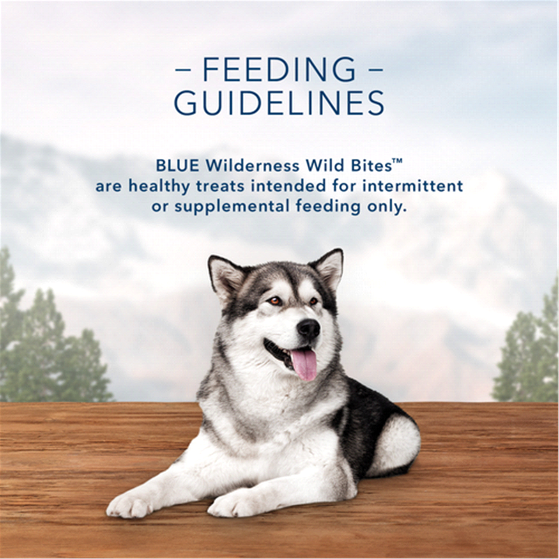 slide 9 of 17, Blue Buffalo Wilderness Trail Treats Wild Bites Grain Free Soft-Moist Dog Treats, Salmon 4-oz, 4 oz