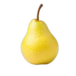 Organic Bosc Pear