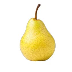 Organic Bosc Pear