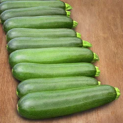 Bonnie Plants Organic Zucchini