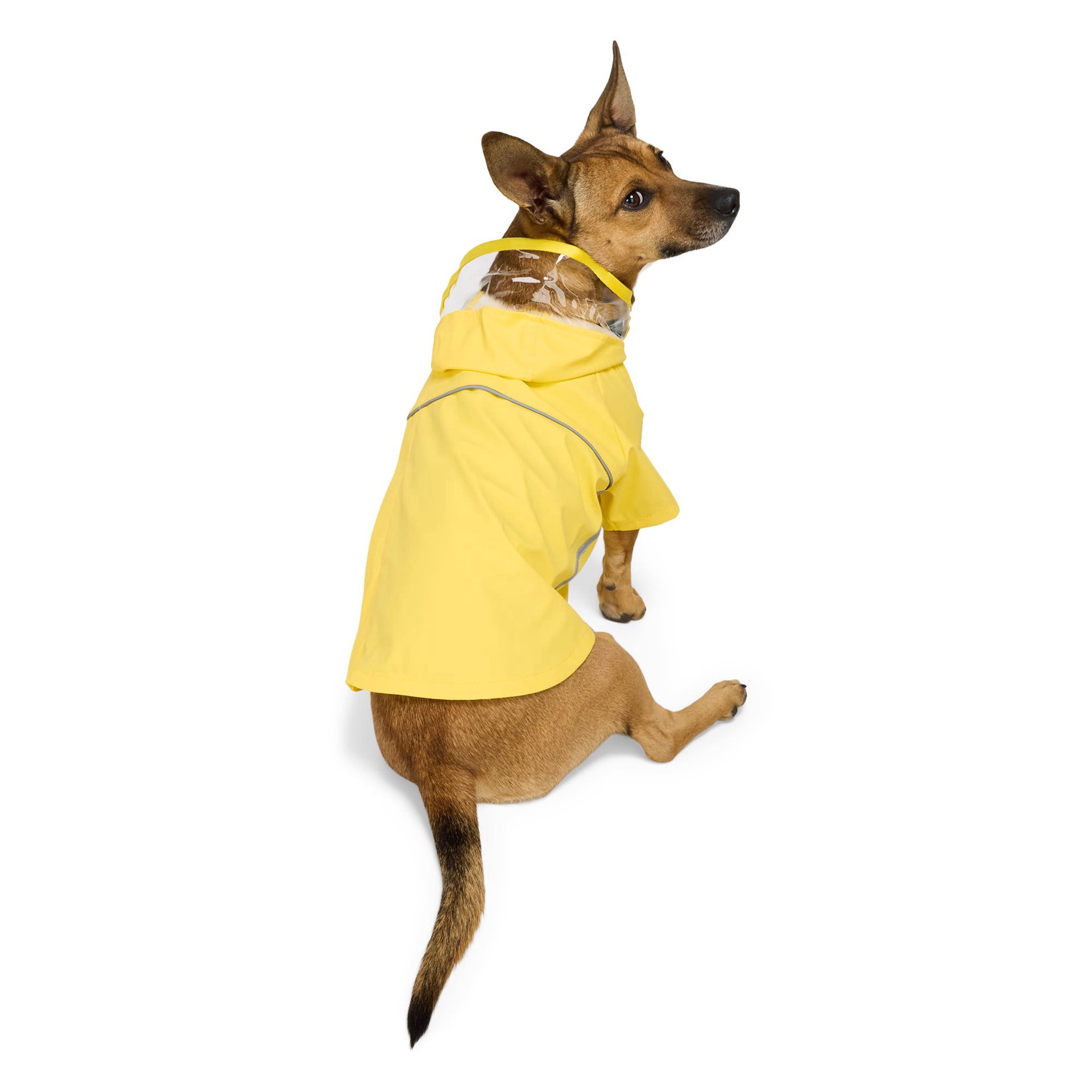 slide 1 of 1, YOULY Reflective Pet Raincoat, Medium, Yellow, 1 ct