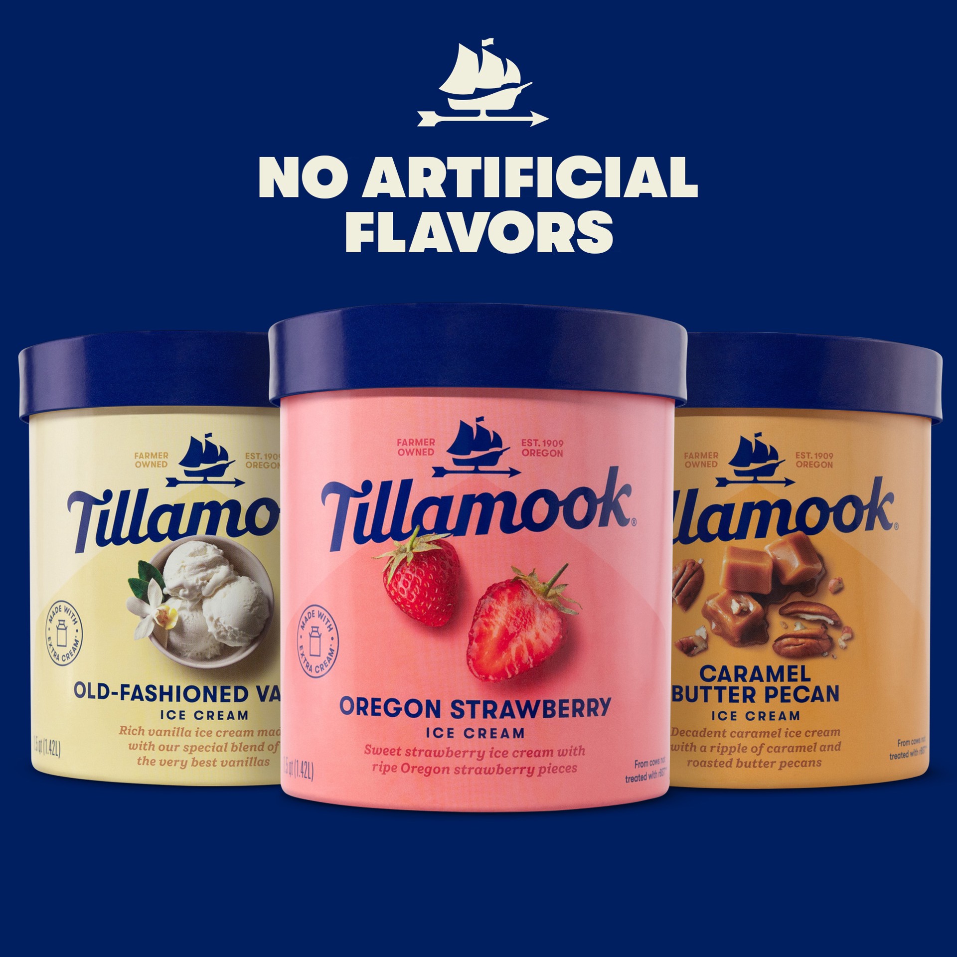 slide 4 of 5, Tillamook Caramel Butter Pecan Ice Cream, 48 oz