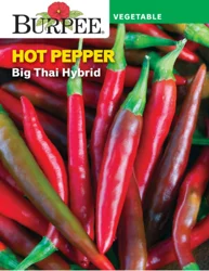 Burpee Pepper Hot Big Thai Hybrid