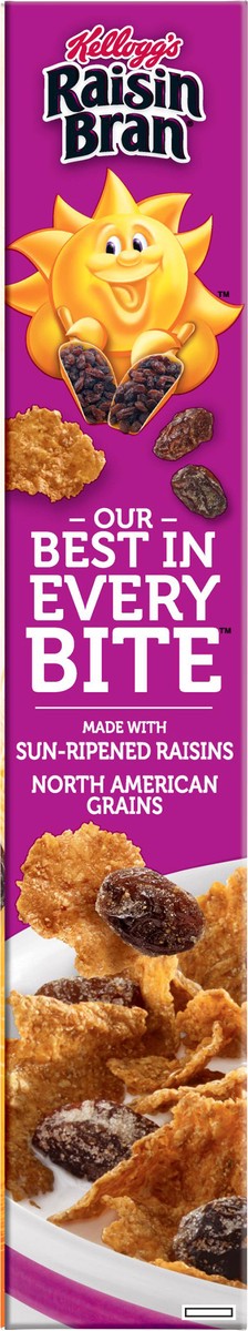 slide 6 of 10, Raisin Bran Breakfast Cereal Original Excellent Source of Fiber, 18.7 oz