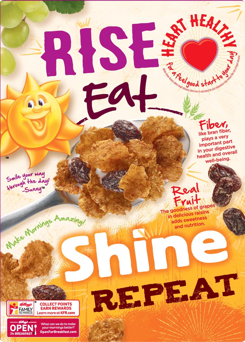 slide 9 of 10, Raisin Bran Breakfast Cereal Original Excellent Source of Fiber, 18.7 oz