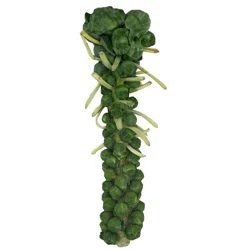 Brussels Sprouts Stalk