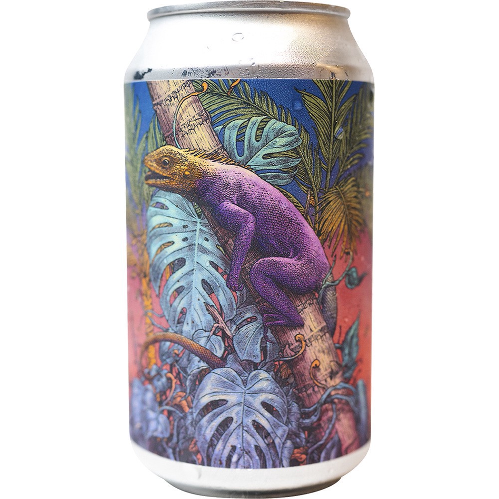 slide 1 of 1, Unseen Creatures Agama, 6 ct; 12 oz