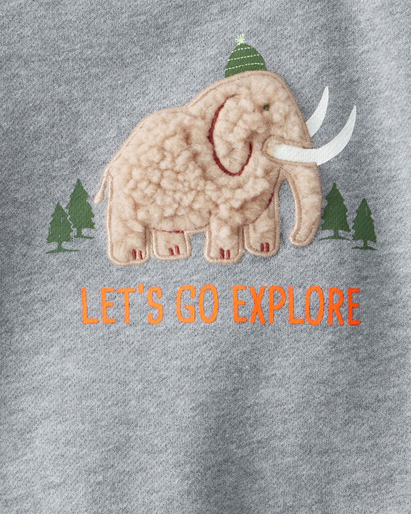 slide 3 of 3, Carter's Baby Boy Mammoth Pullover Sweatshirt - Grey Grey 12M, 1 ct